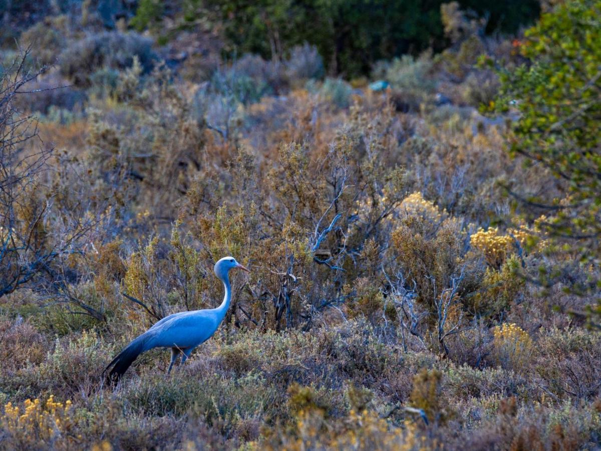 ליידיסמית Rooiberg Wild Private Game Reserve מראה חיצוני תמונה